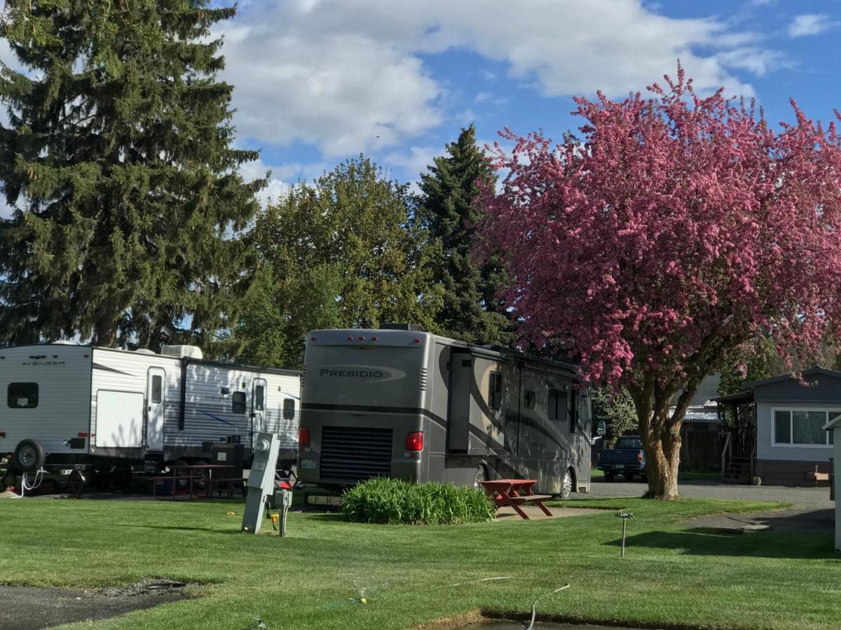 Goose Creek Rv Park & Campground Wilbur Extérieur photo